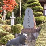 もみじ